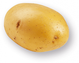 einzelne Kartoffel 