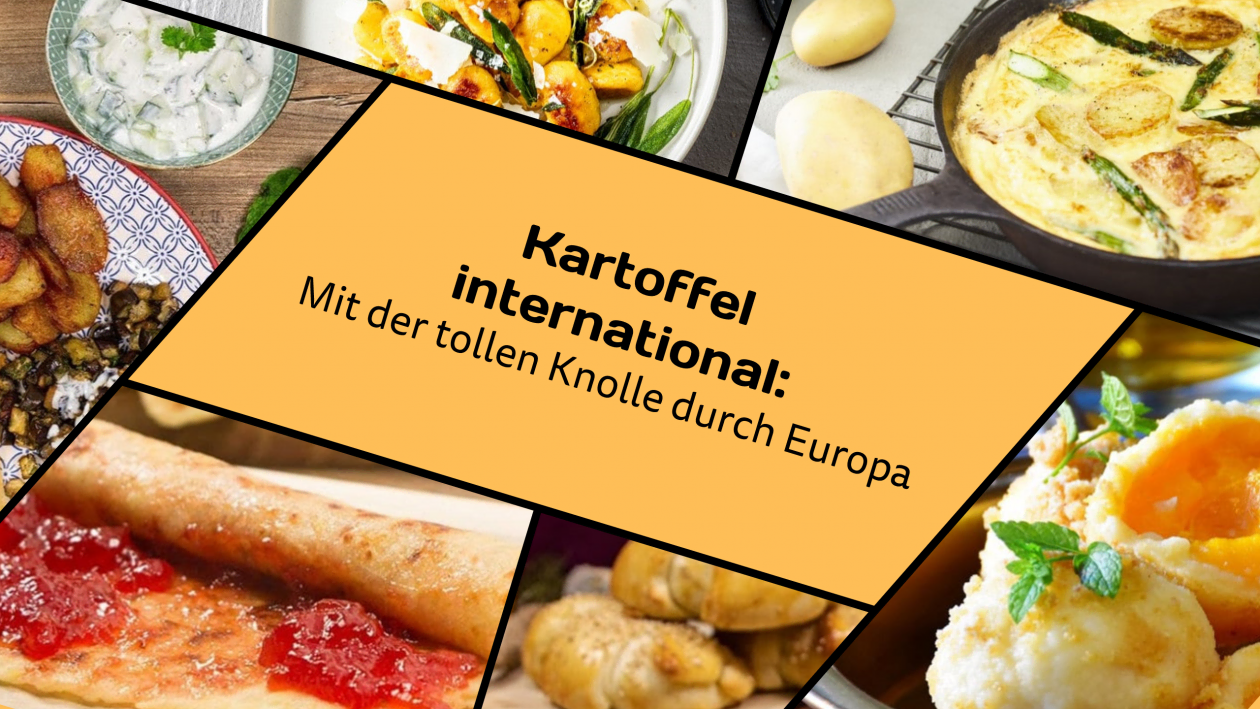 kartoffel international
