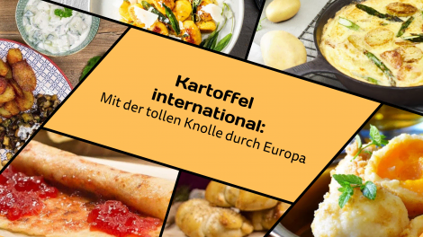kartoffel international