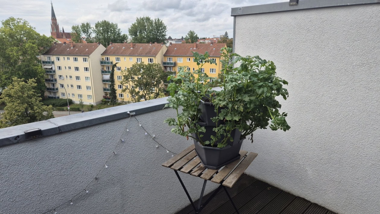 WhatsApp Image 2025 07 15 at 23.29.22