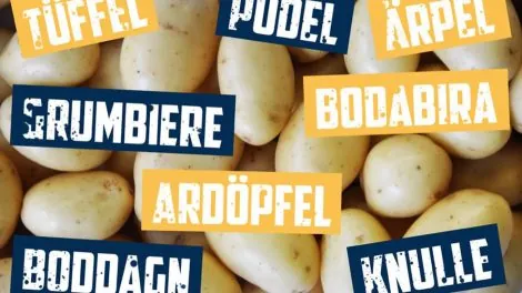 Kartoffel Namen