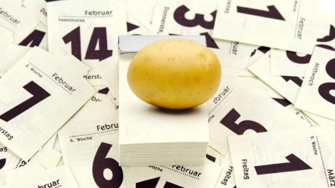Kartoffelkalender