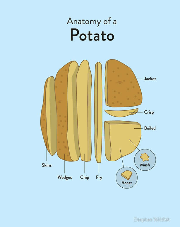 Anatomie einer Kartoffel Kartoffel T Shirts 06 2019