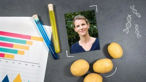 5 Fragen an Kartoffelforscherin Delphine Inghelandt HHU Dusseldorf PotatoTools 2020