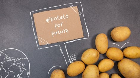 Die Kartoffel und Fridays for Future 2020