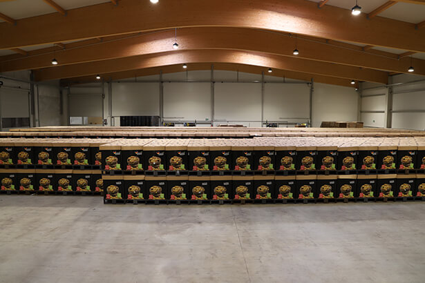 Kommissionierhalle für Speisekartoffeln Solanum Verpackungsgesellschaft 2020