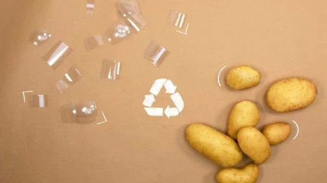 Kartoffel Plastik 2020