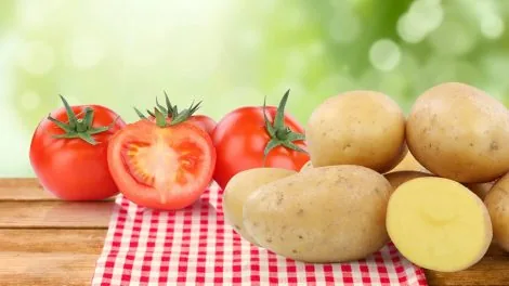 KartoffelnTomaten