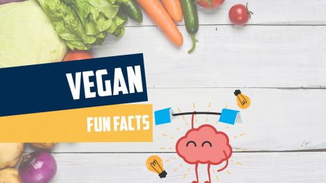 Vegan Fun Facts Version3