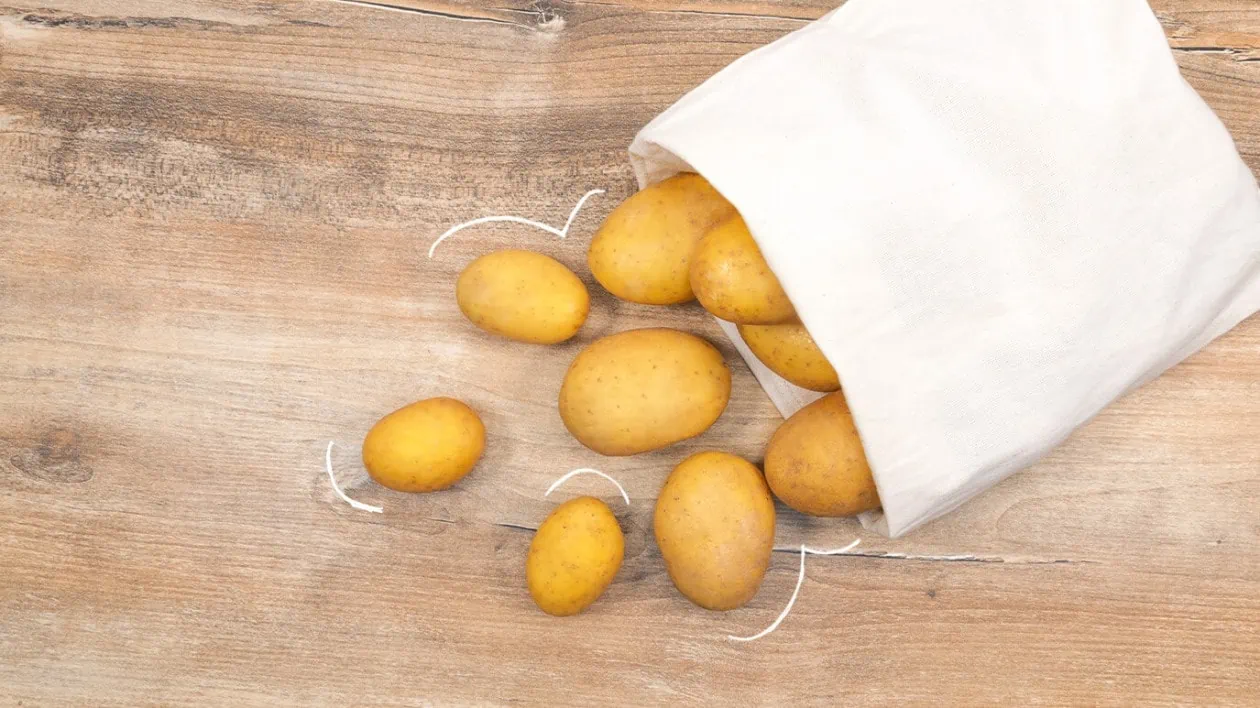 Kartoffeln richtig lagern 2020
